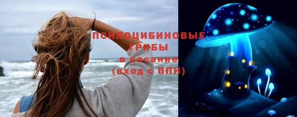 прущие грибы Баксан