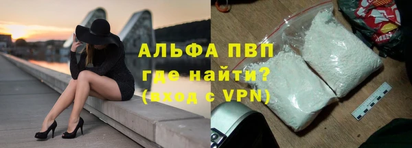 прущие грибы Баксан