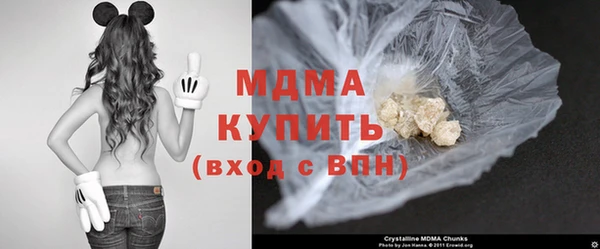 прущие грибы Баксан