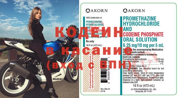 прущие грибы Баксан
