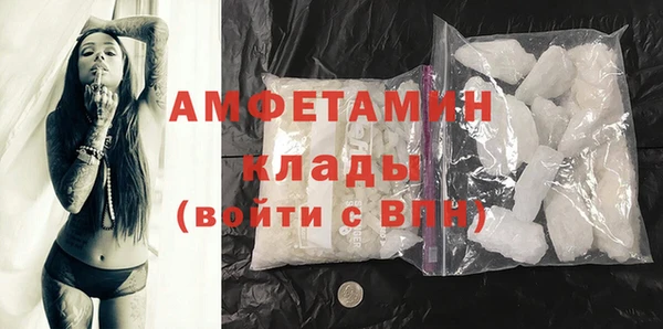 прущие грибы Баксан